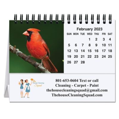 Bird Watching Tent Desk Calendar (5 13/16"x4½")